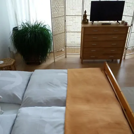 Om Ayurveda Center アパート ハノーファー